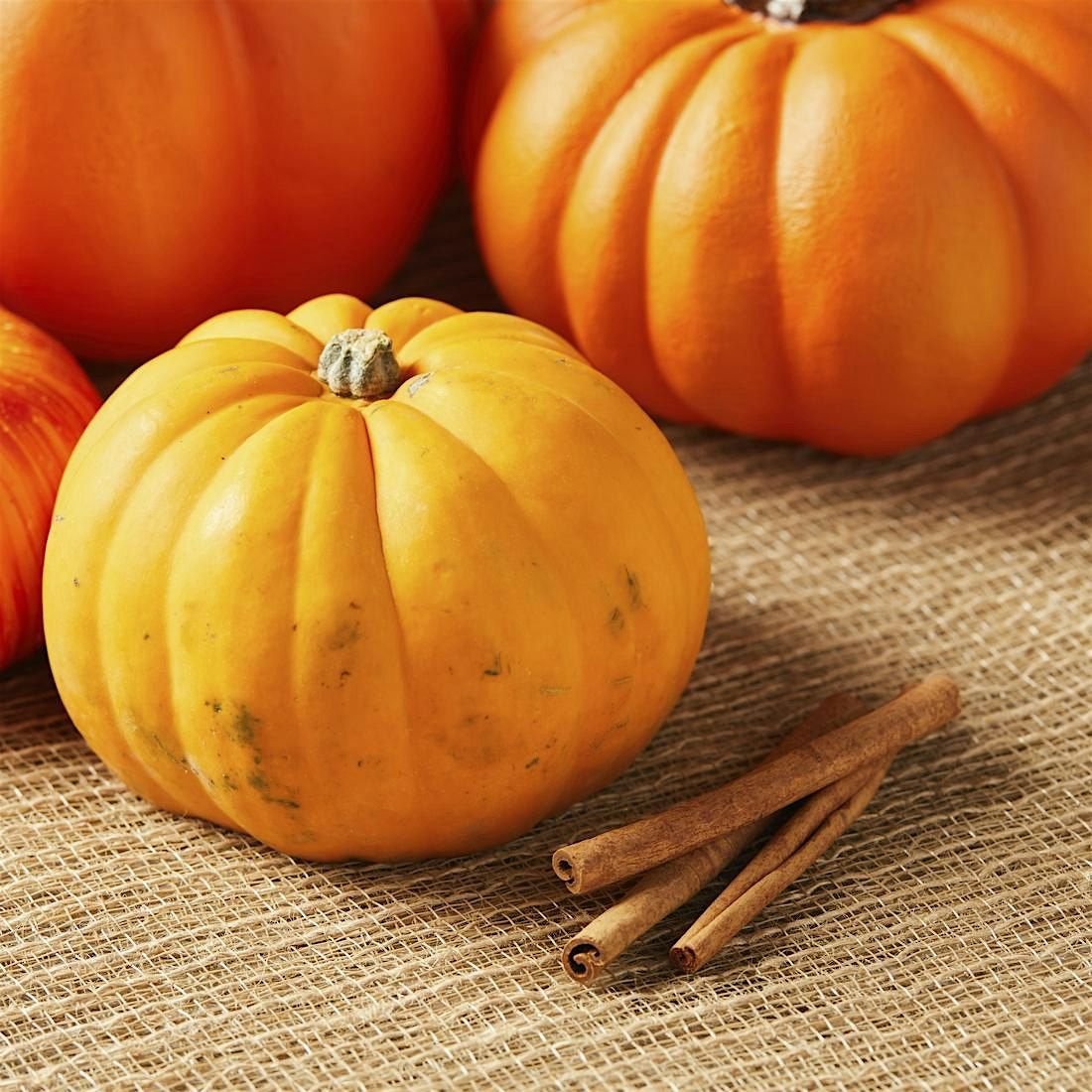IKEA College park Halloween Spooktacular Bash