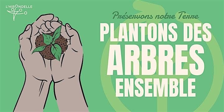 Plantation d'arbre