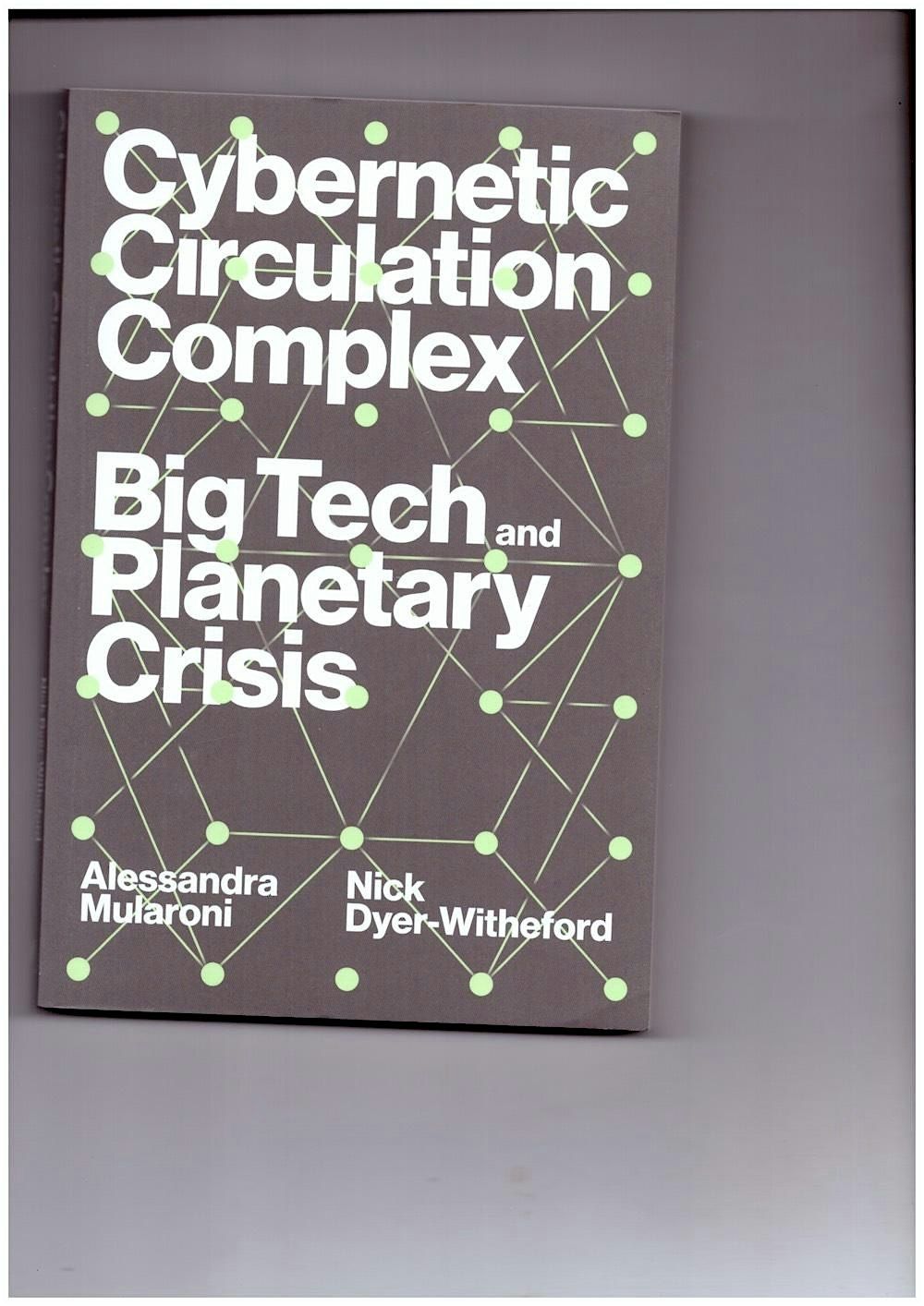 Technology and Development Seminar: The cybernetic circulation complex