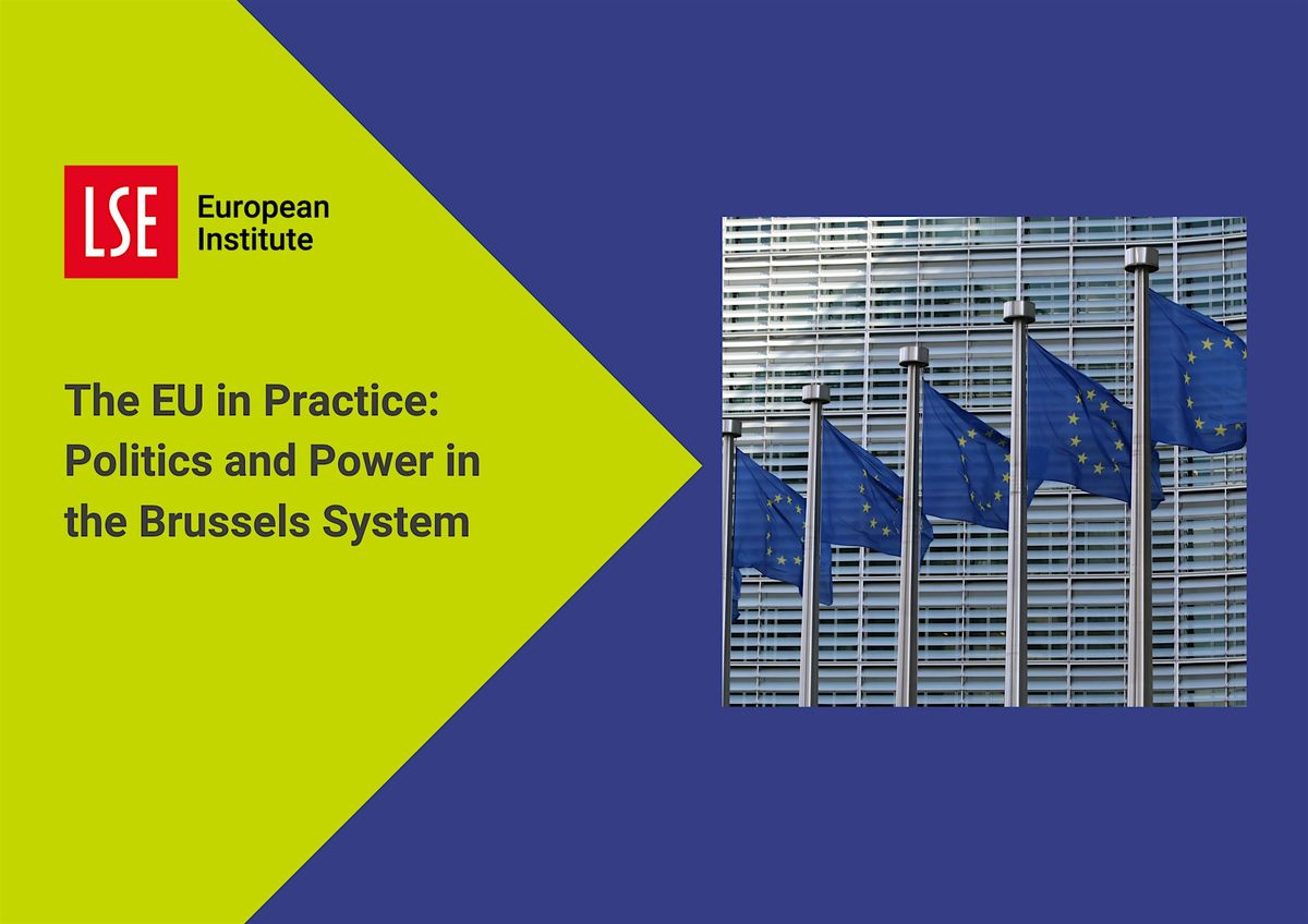 EU IN PRACTICE: European political parties and foundations