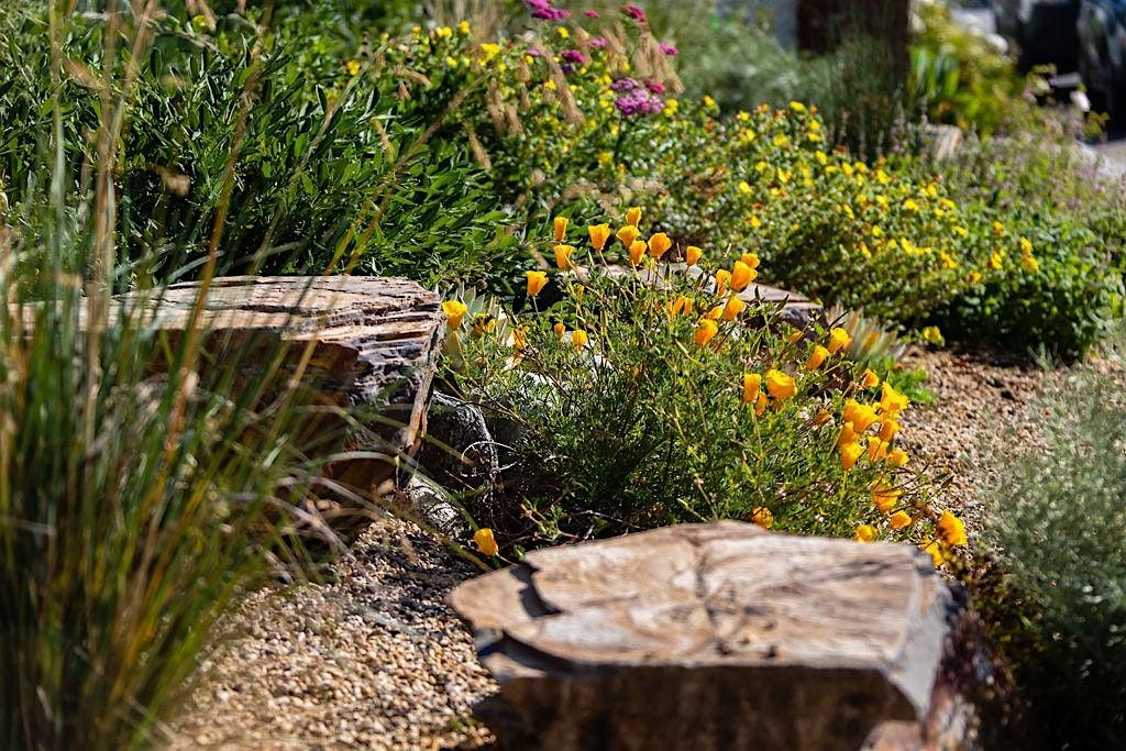 Re-wild: Planting Design and Installation