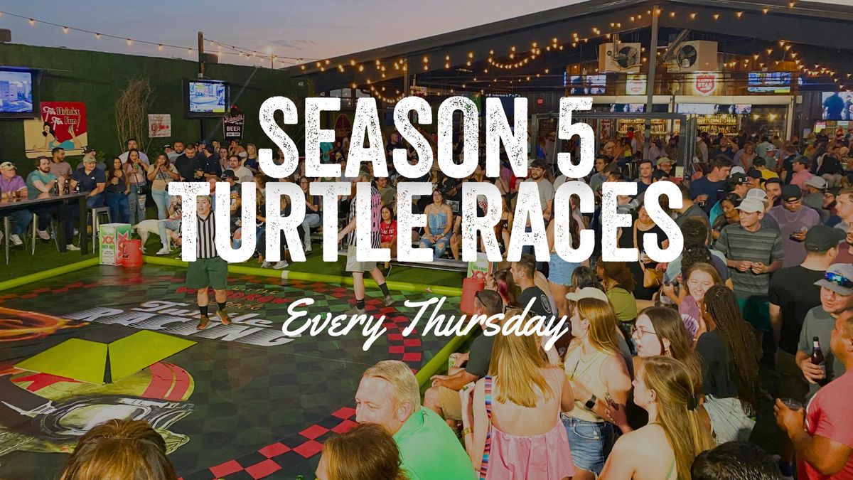 Turtle Races