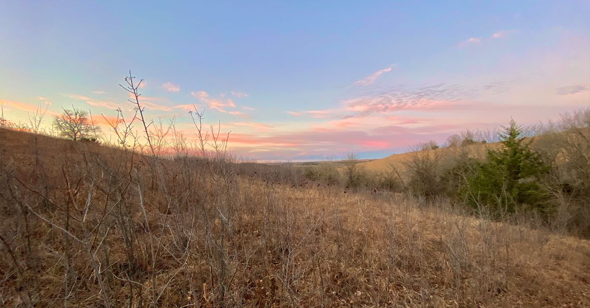 Open Trails at Prairiewood