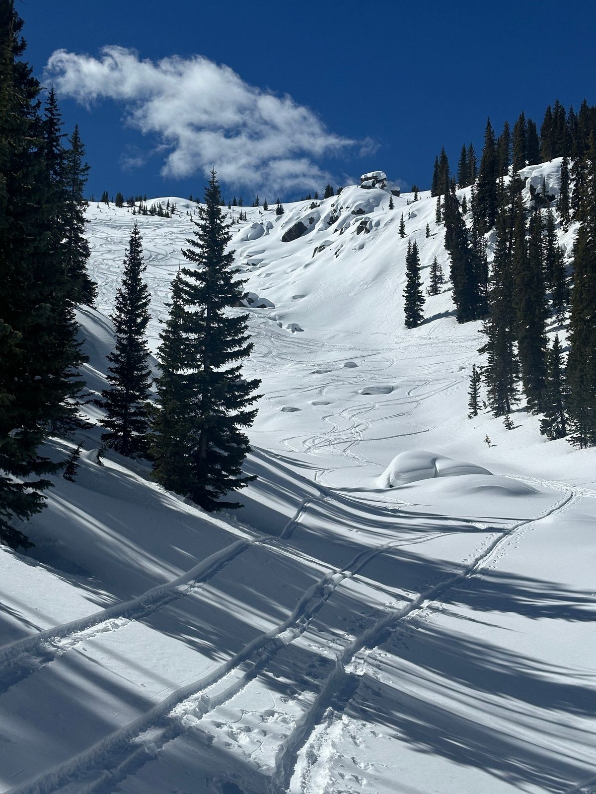 "Know Before You Go" Avalanche Awareness - Santa Fe area