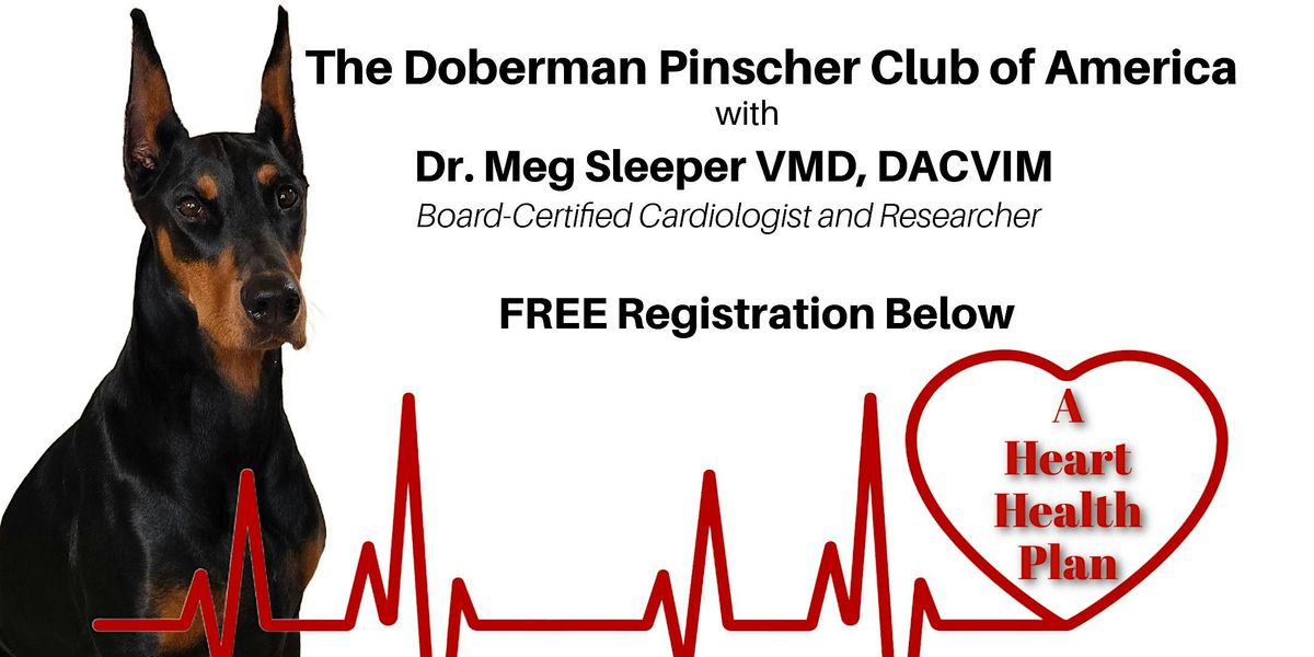 Doberman Heart Health LIVE Zoom Seminar