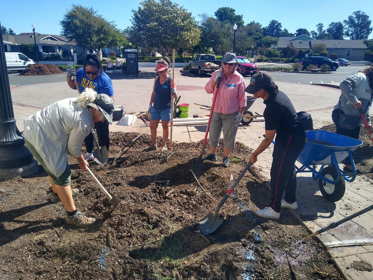 Suisun City Rain Garden Installation