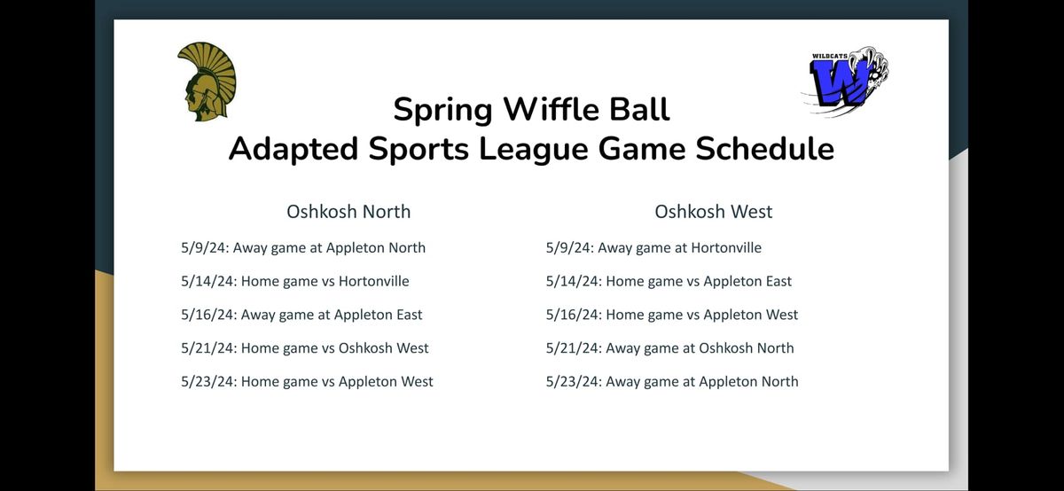 ASL Spring Wiffle Ball Game