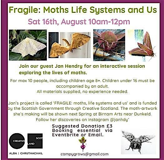 Fragile: Moths Life Systems and Us