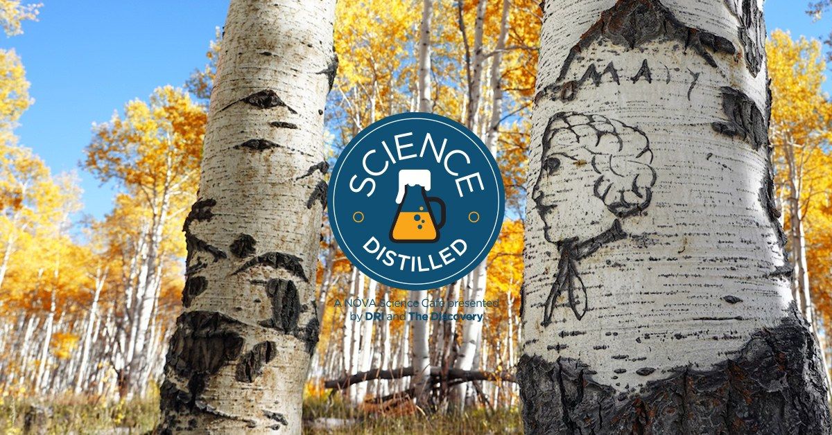 Science Distilled: The Story of Nevada