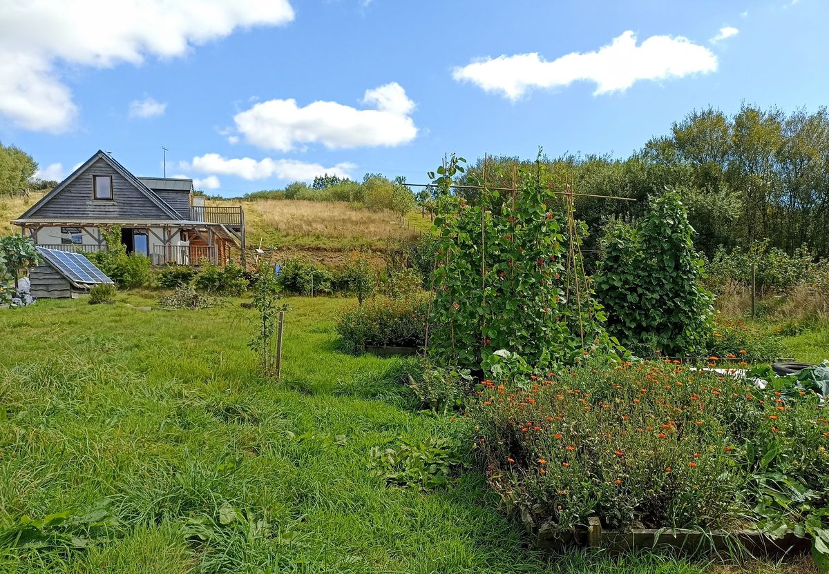 One Planet Development guided tour (3 Plots at Rhiw Las)