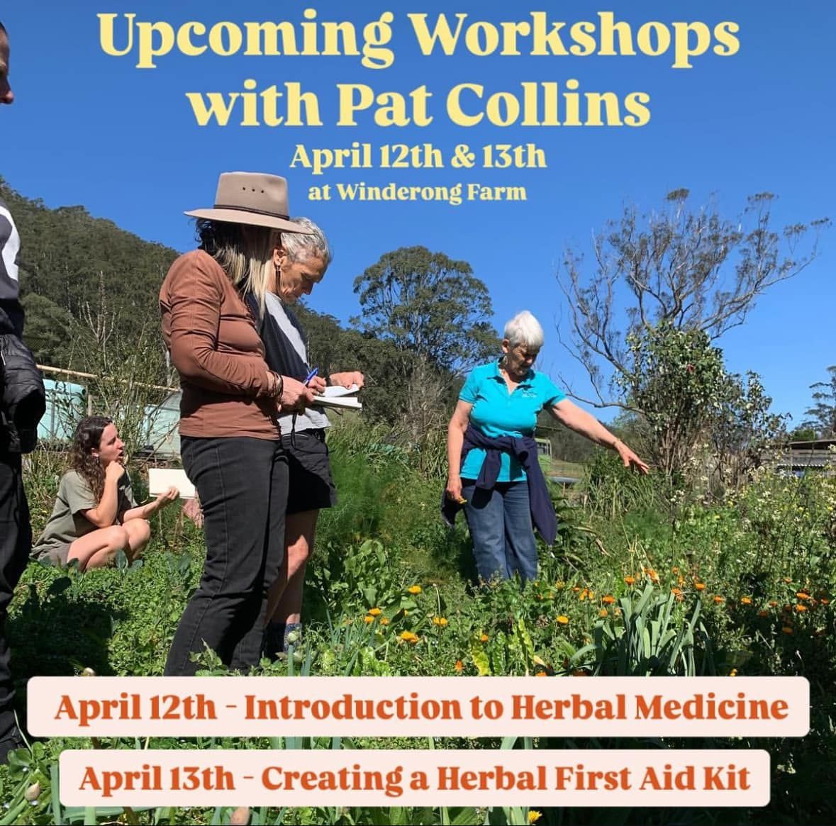 Introduction to Herbal Medicine and Creating a Herbal First Aid Kit Workshops