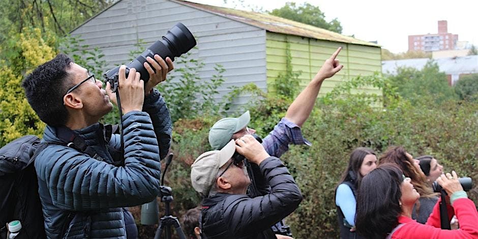 Fall Bird Walks with NYC Bird Alliance