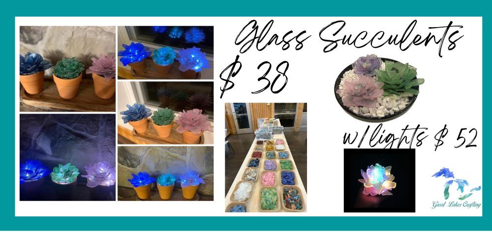 Gaylord Succulents Workshop at Pine Squirrel Bar & Grill