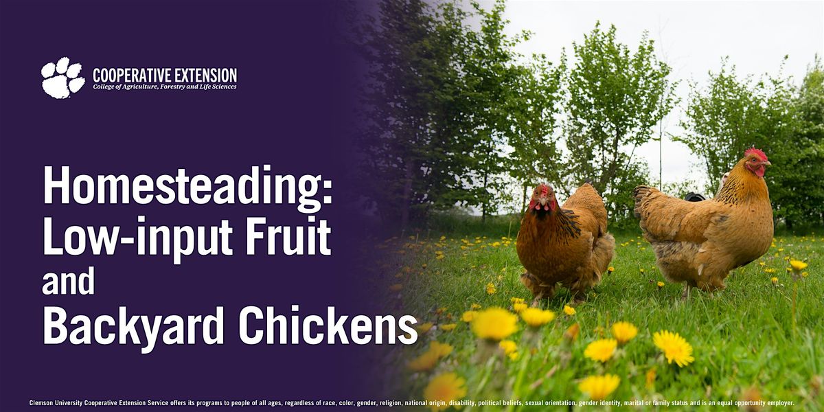 Homesteading: Low-input Fruit and Backyard Chickens