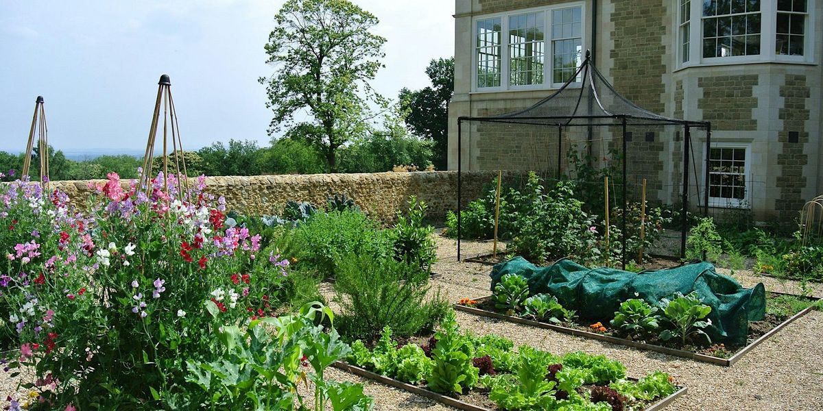 Planting design at Kew \u2013 Edibles in design with Mark Diacono