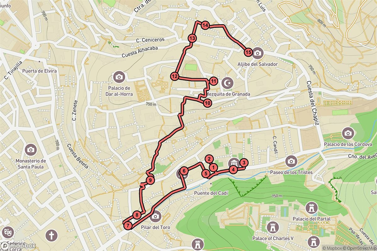 Granada Audio Tour: Echoes and Enigmas of the Albaic\u00edn Labyrinth