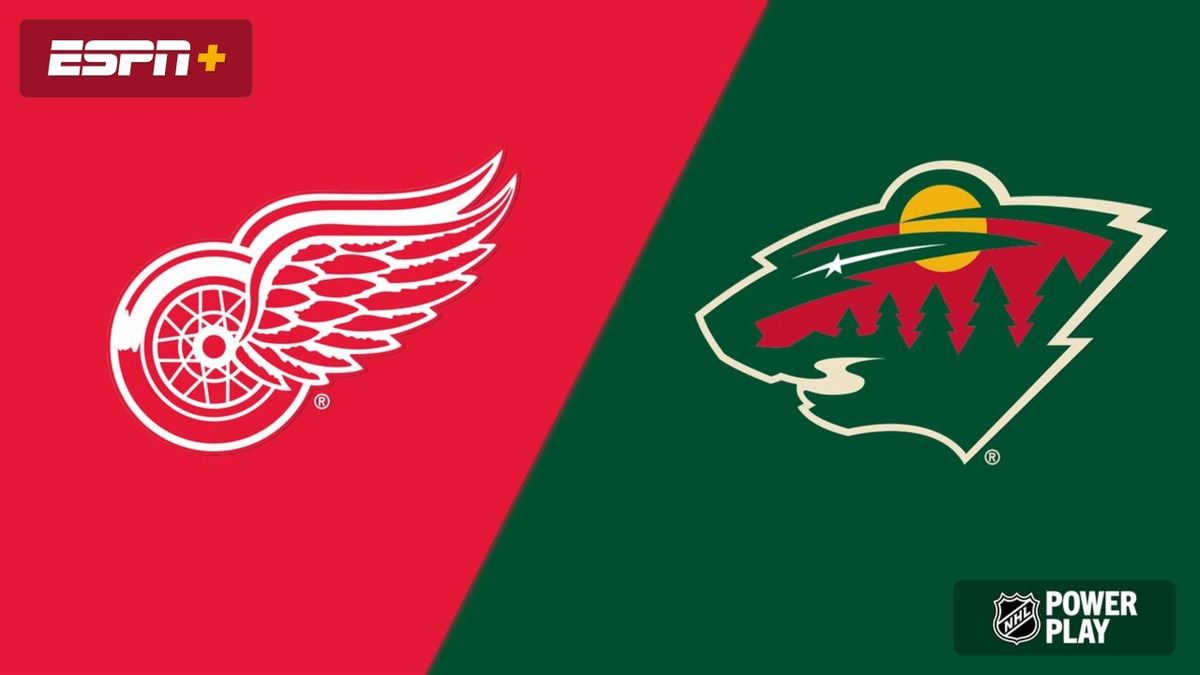 Minnesota Wild at Detroit Red Wings