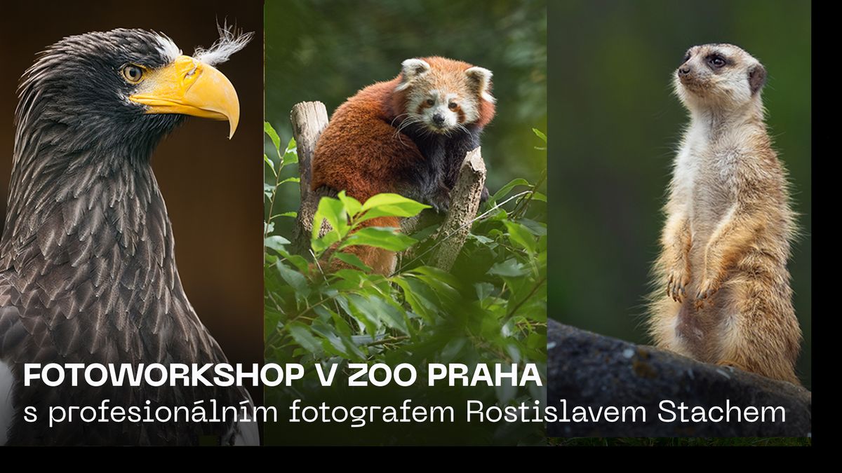 FOTO WORKSHOP | Za zv\u00ed\u0159aty do zoo Praha s profesion\u00e1ln\u00edm fotografem