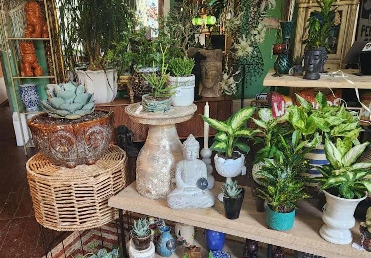 Succulent Senorita Greenhouse at Macy\u2019s Rookwood