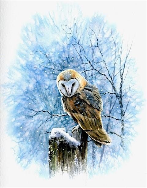 Winter Owl in Watercolour: Jeremy Ford