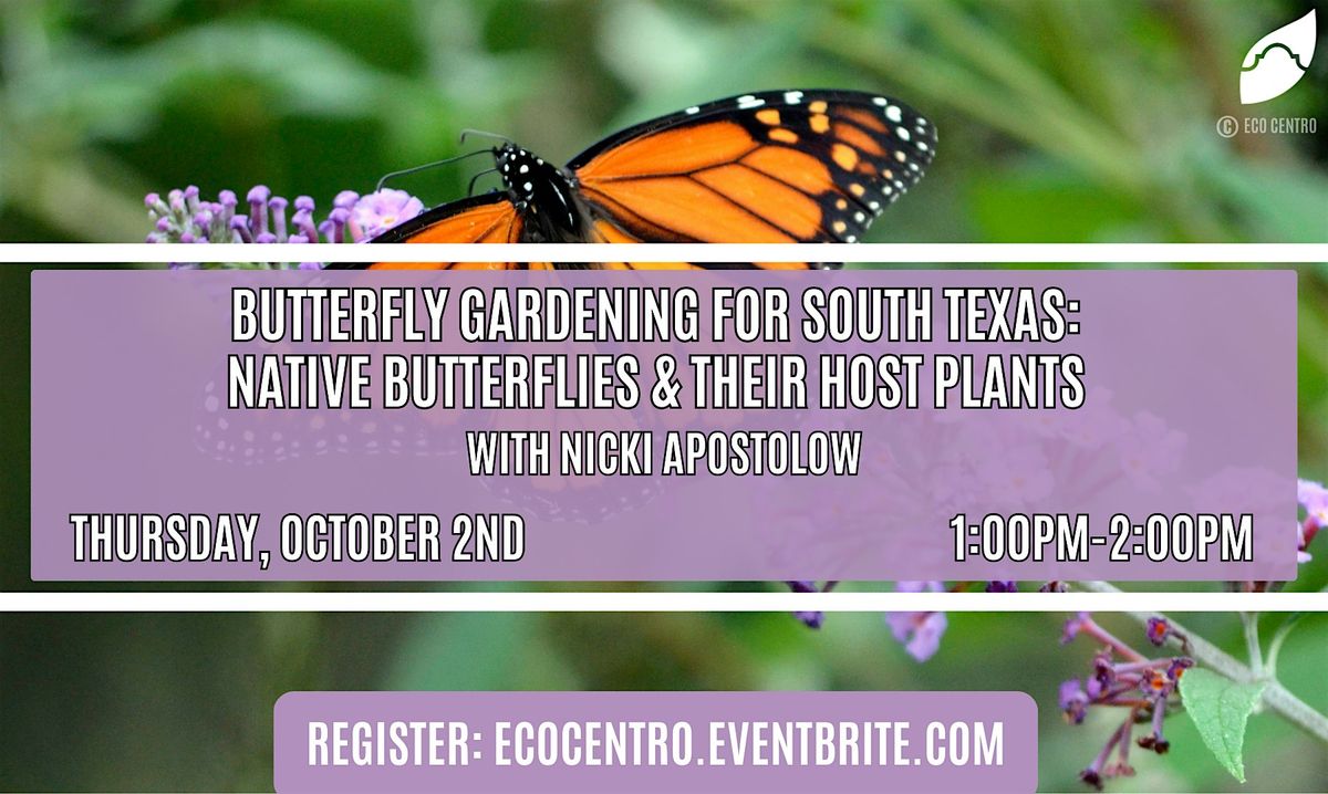 Butterfly Gardening for South Texas: Native Butterflies & Their Host Plants