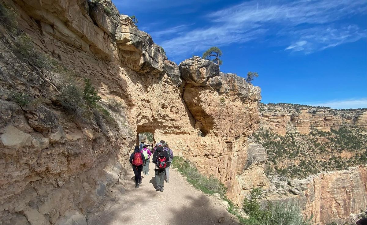 Free Rock, Mineral, and Fossil Identification Night