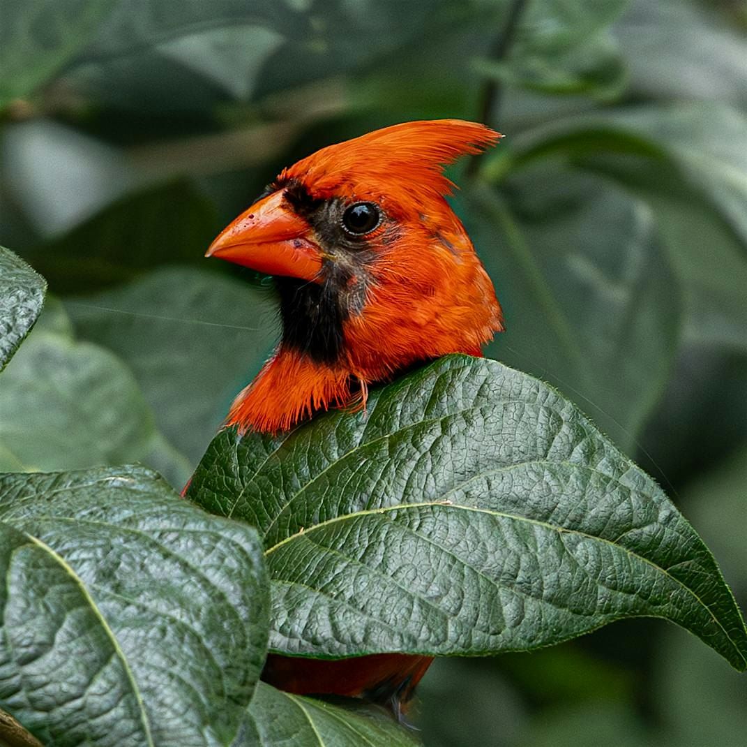 Nature & Photography Walk at Dodge Park