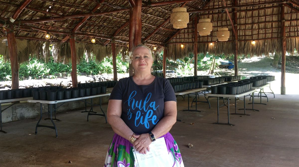 (In-Person at KOKA Kalihi) Simple Hula "Pua Ahihi"