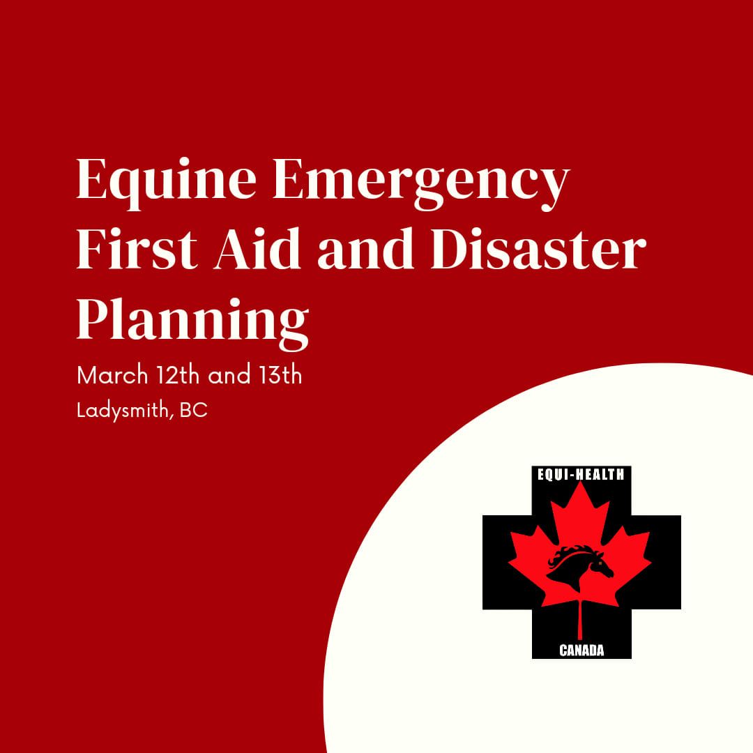 Equine Emergency First Aid (Level 1) and Disaster Planning 