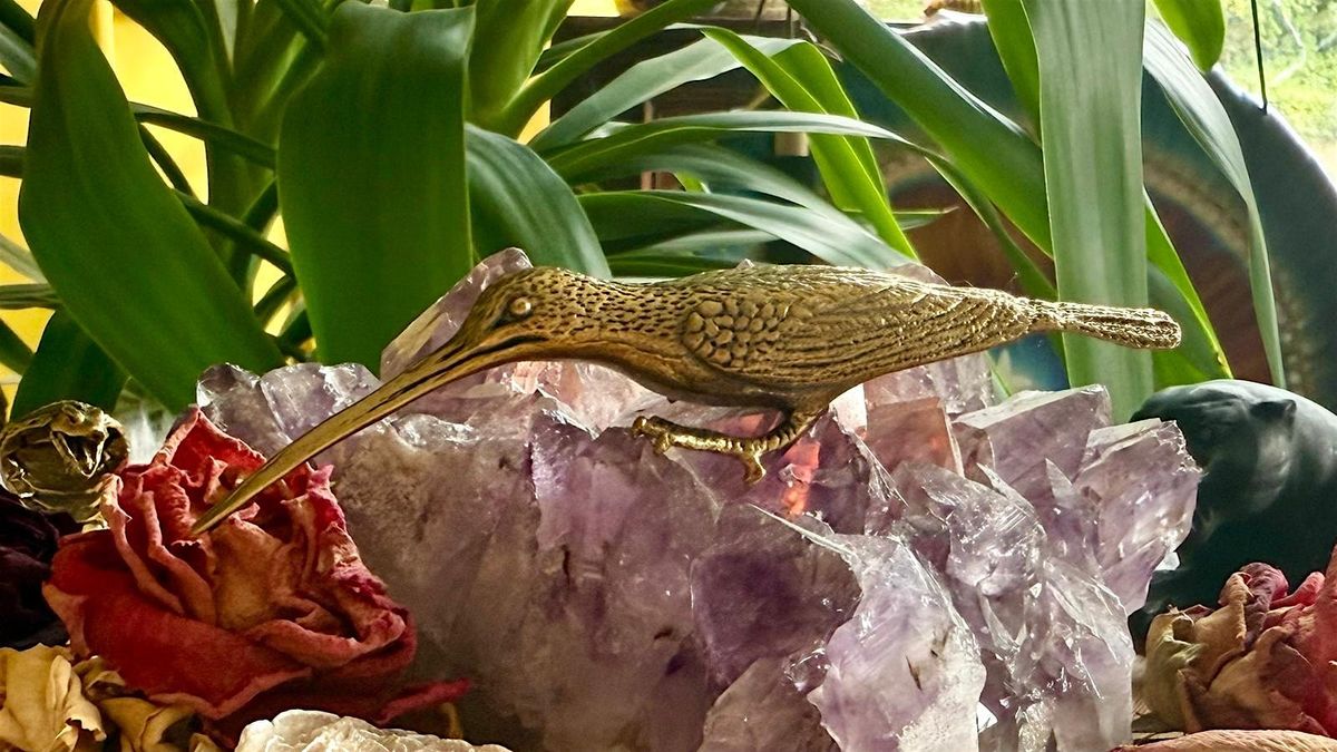 HUMMINGBIRD \u2014 Following the Path of Joy