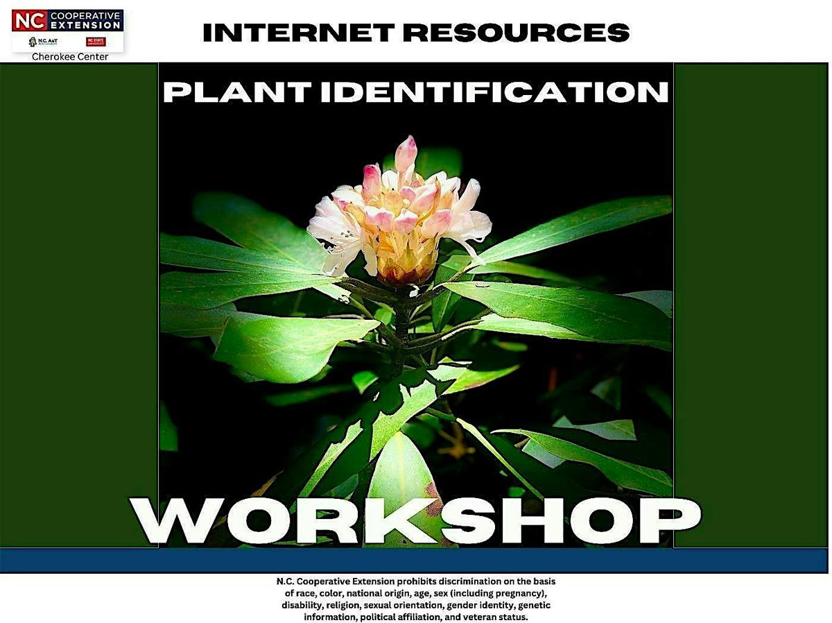 Internet Resources for Plant Identification