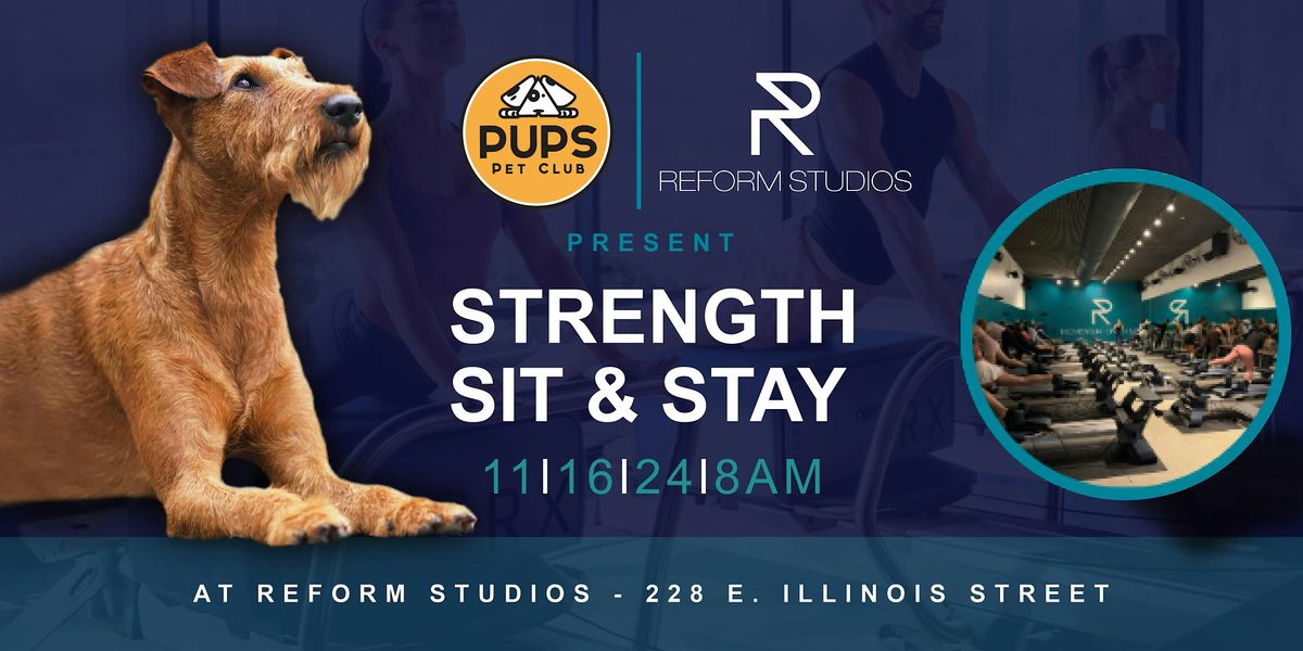 PUPS and PILATES  - Strength, Sit and Stay