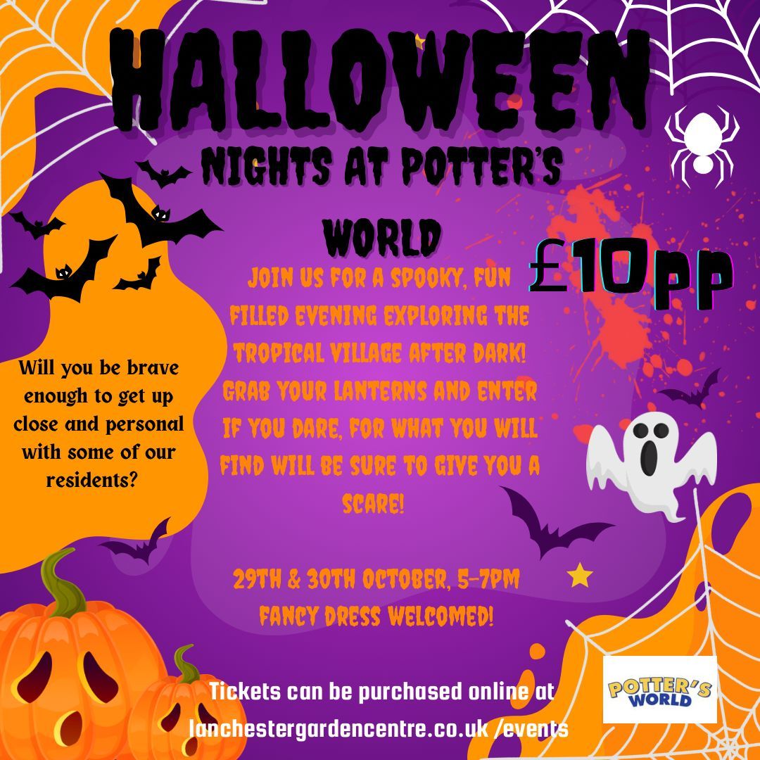 Halloween Night at Potter's World