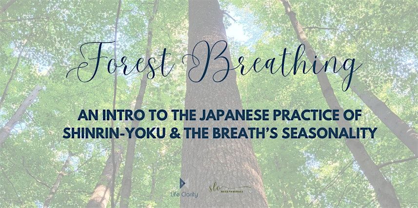 Forest Breathing: An Intro to Shinrin-Yoku and The Breath's Seasonality