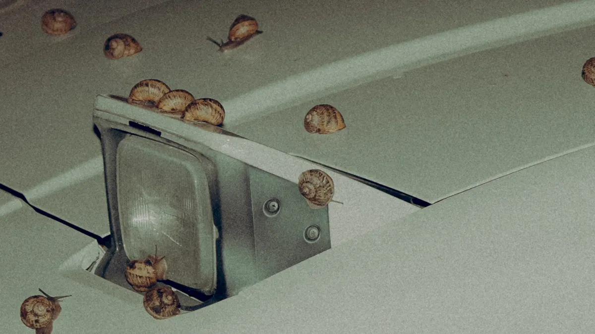 Marc Segu\u00ed in Son