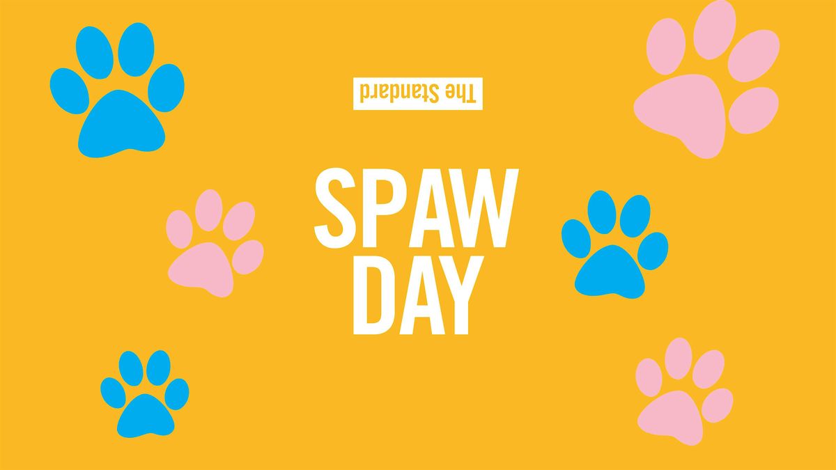 Spaw Day with D.O.G. Hotels at The Standard Spa, Miami Beach