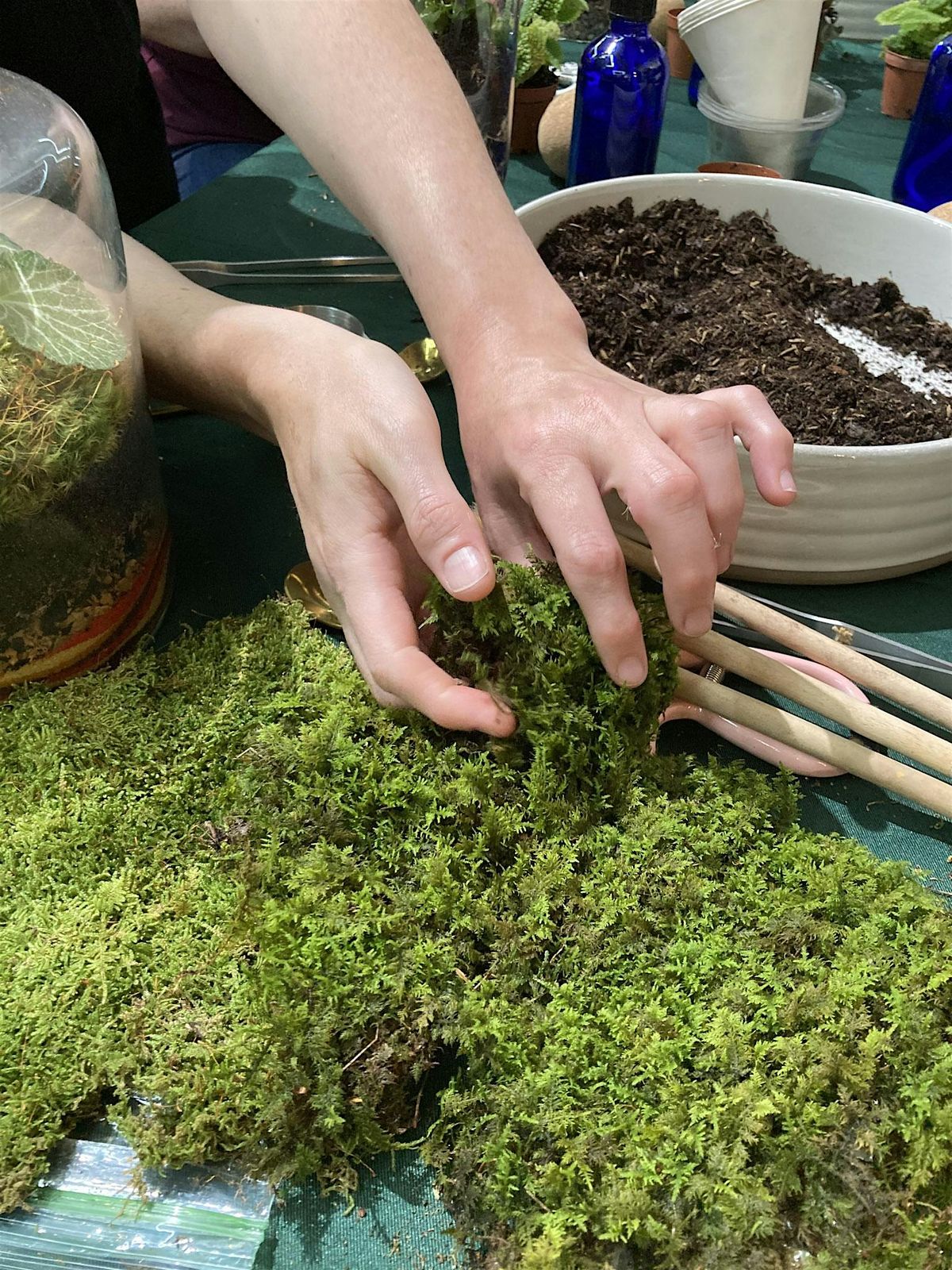 Terrarium Workshop