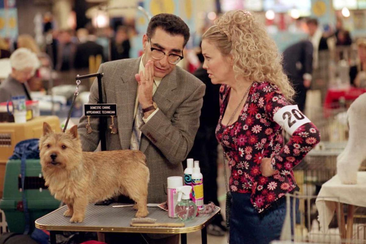 Best In Show (35mm Friday Matinee)