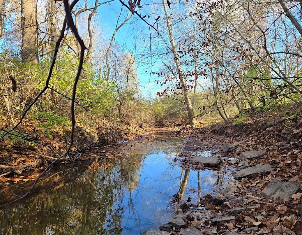 Little Bull Run\/ Bull Run Community Stream Cleanup Event