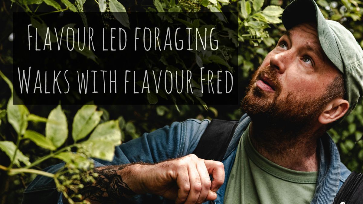 Flavour-Led Foraging Walk, Wild Plants, Fungi, History, Folklore, Wild Food