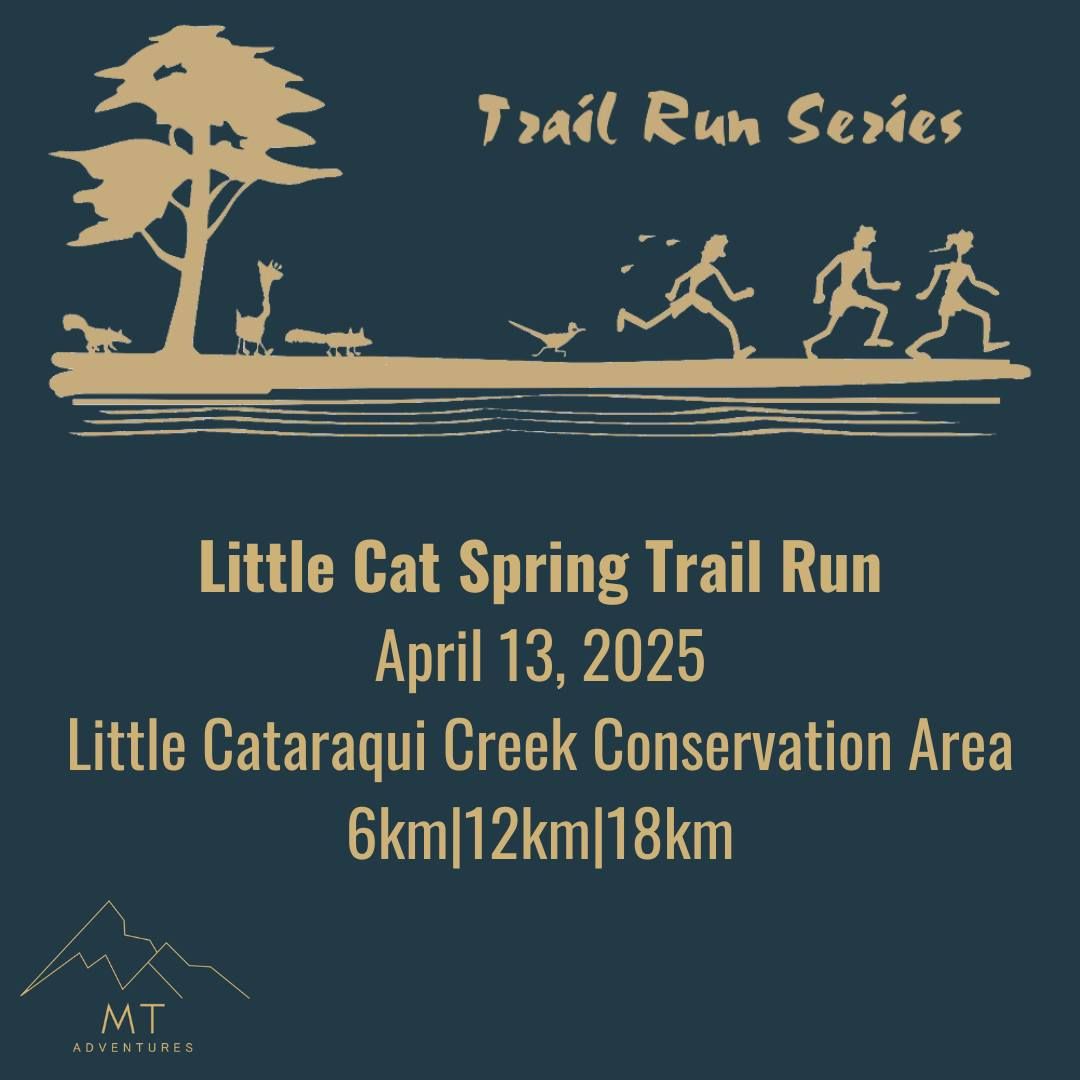 Little Cat Spring Trail Run