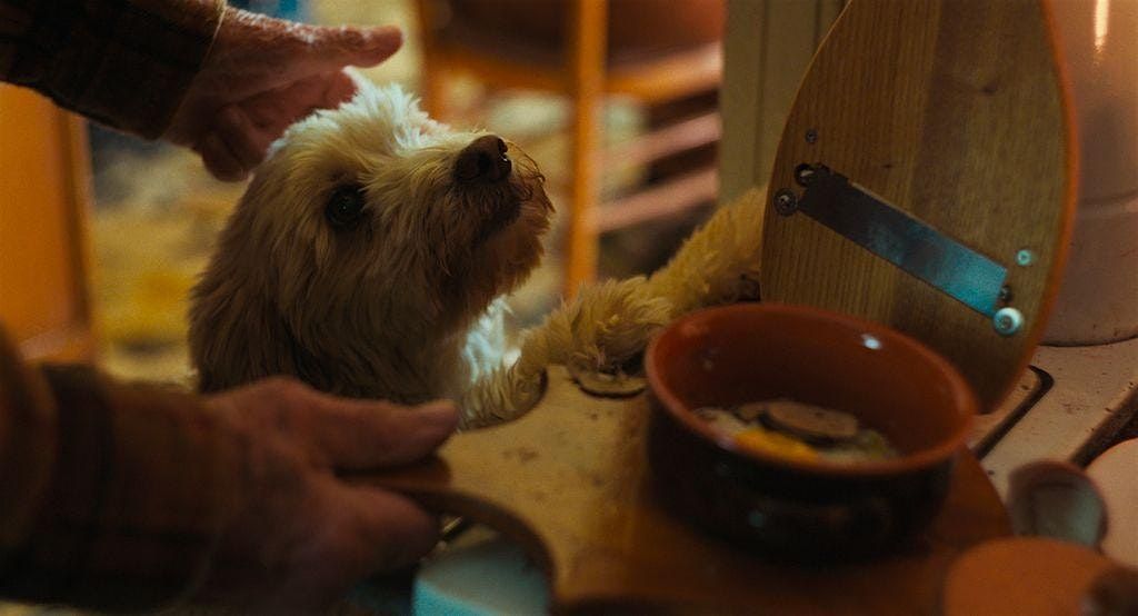 La Dolce Trifole: A Night of Film, Flavor & Furry Friends!