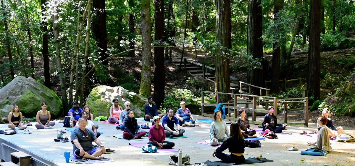 Winter Solstice - Hike and meditation