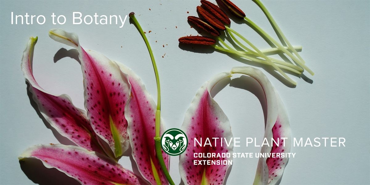 2025 NPM Intro to Botany  Saturday, March 8  from 8:30am-12:30pm