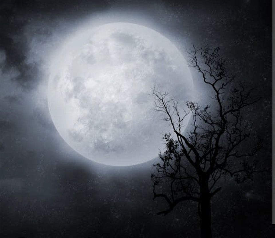 An Evening of Practical Magic