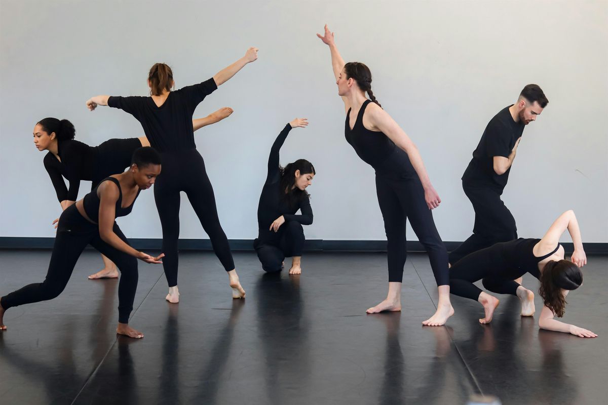 Adult Beginning Modern Dance Workshop Series  - 7 classes