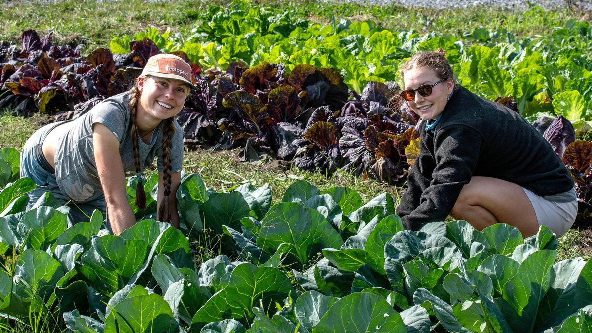 Volunteer at 21 Acres: Farm Stewardship