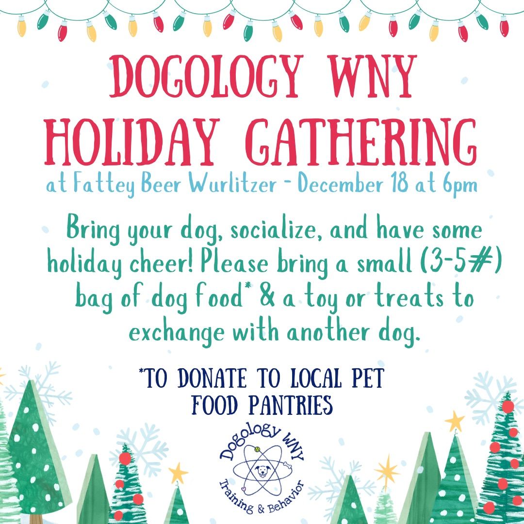 Dogology Holiday Gathering! 