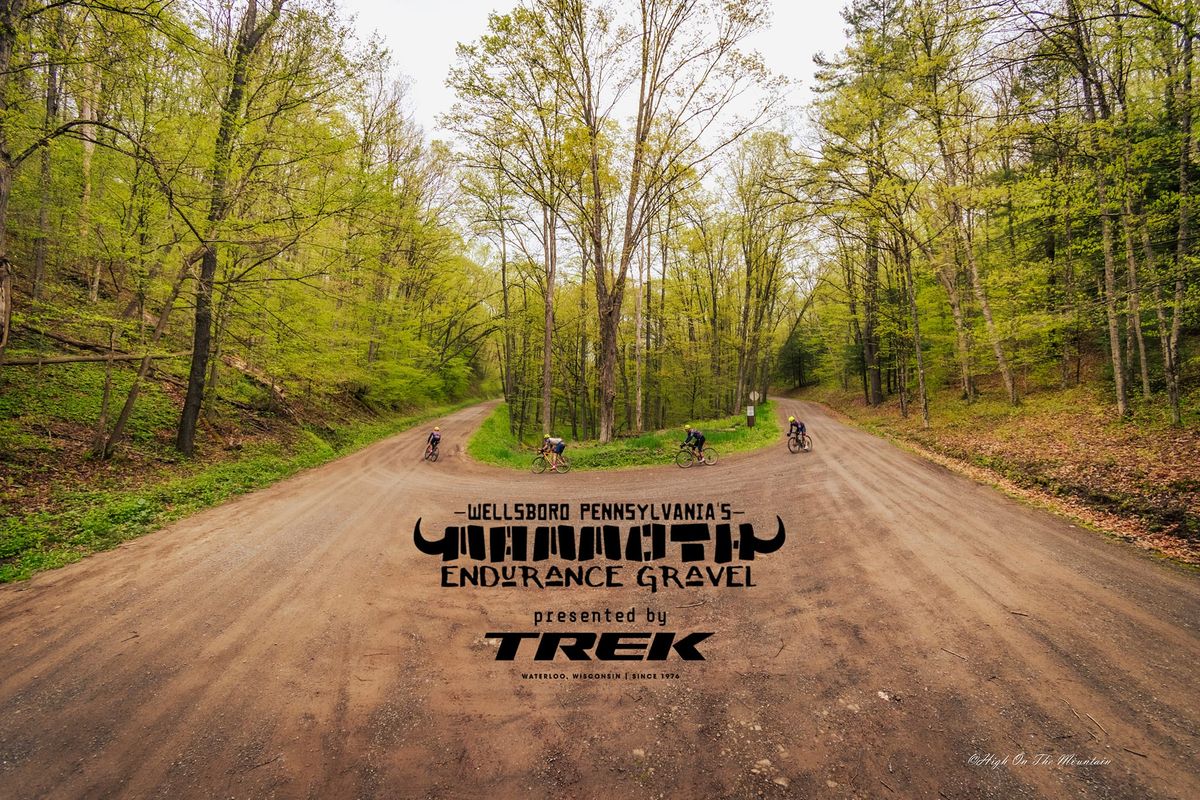 MAMMOTH Endurance Gravel '25