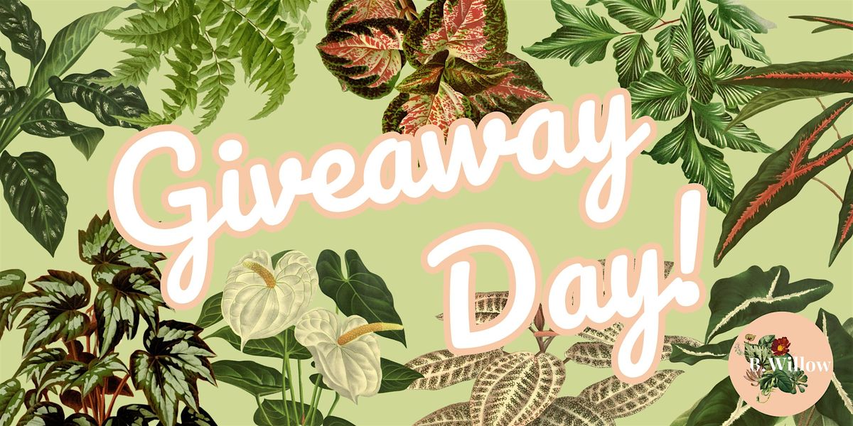 Giveaway Day!